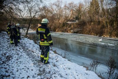 Plochingen: Schwan auf der Fils eingefroren - Feuerwehr kommt, Schwan fluechtet